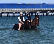 3 Runners at Pinny