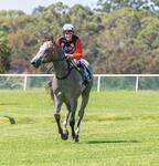 Cash Away's Big Test