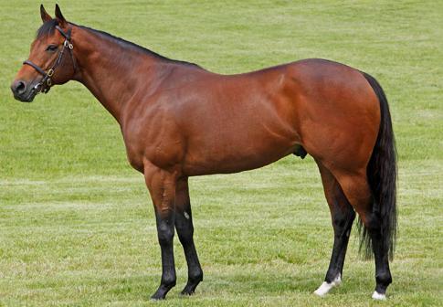 Equiano X Bitabling Colt