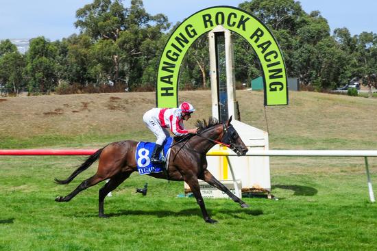 Extreme Torque - Hanging Rock Cup 1.jpg