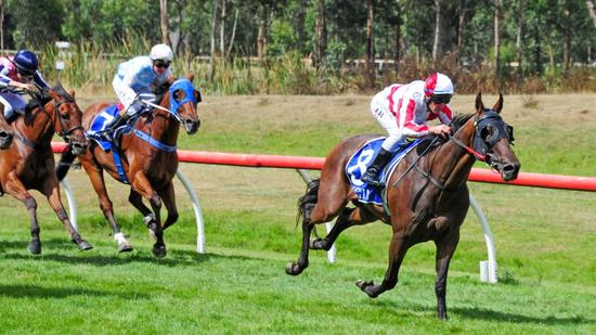 Extreme Torque - Hanging Rock Cup.jpg