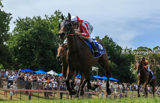 Extreme Torque - Hanging Rock Cup - Ground Level Winning Post.jpg