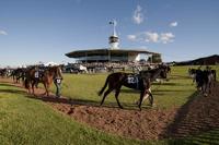 Oakfield Dazzler To Debut At Scone Today