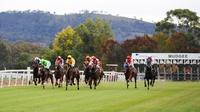 The Lane Yard Takes Runners To Mudgee On Saturday