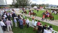 Ayeteem Nominated For Two Races Including Tomorrow At Tamworth