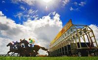 The Lane Stable Supplies Two Runners To Grafton On Sunday.