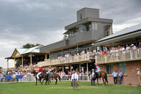Sugarland Express To Compete At Quirindi Under Ben Looker