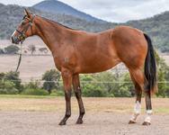 Updated : Limited Shares Remain, See Her Recent Jump Out Here