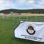 Damien Lane Runners For Wellington On Sunday