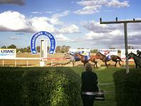 Narromine Runners For The Lane Yard On Thursday
