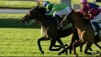 Oakfield Captain To Run At Wyong On Tuesday