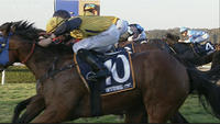 Scatter Blast To Compete At Taree On Saturday Under Jake Hull