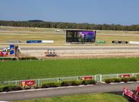 Two Stable Runners To Compete At Wyong On Sunday