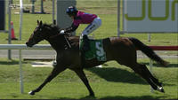 Buckin Beauty To Run In The 8th On The Canterbury Card On Friday
