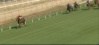 Captains Legend Runs Into Second At Wyong