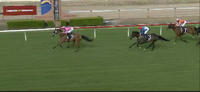 All But Gone Ran On Nicely In The Soft Going To Arrive As The Runner Up