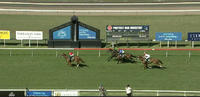 Sharp Speedo Grabs A Third Under Travis Wolfgram At Scone