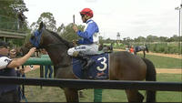 We Take Runners To Canterbury For Mid Week City Class Racing