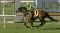 We Saddle Up Runners For Newcastle On Saturday