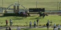 Choice Larga Runs Third In The Mudgee Cup Sprint