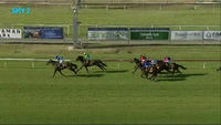 Oakfield Twilight Finishes 2nd Under Bucko At Newcastle