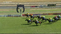 Boston Blues Arrives In Third At Big Odds Under Darryl McClellan