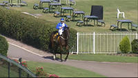 Day Star Gets The Prize At Good Odds Under Travis Wolfgram