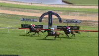 Buckin Beauty Arrives In Third At Hawkesbury