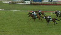 Thiswilldous Continues To Carry Form From Last Prep Through To This