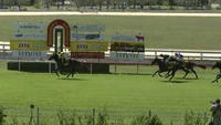 Boston Blues To Run At Armidale On Sunday