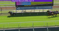 Our Newcastle Barrier Trial Results