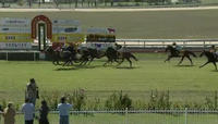 Boston Blues Arrives In Third Over 1900m At Armidale