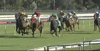 Scatter Blast Backs Up For Another Placing For The Prep At Taree