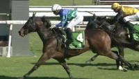 Rubikat Puts In A Solid Provincial Performance Under Jason Collett