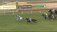 Lavish Rose Improves To Run A Placing At Cessnock