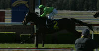 Tim Clark Pilots Oakfield Gettem To A Maiden Win At Home