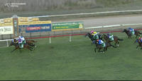 Captains Legend Arrives In Third After The Last At Cessnock