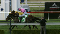 The Damien Lane Yard To Support Tamworth Racing On Monday