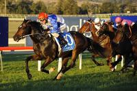 All But Gone To Run On Kembla's Big Day