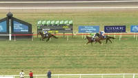 Captain's Legend Runs Third Over 2200m At Scone