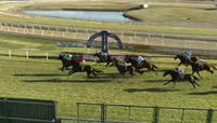 Oakfield Captain Wins Race 6 On The Hawkesbury Card