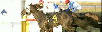 Captain's Legend Puts In An Outstanding Display Under Bucko At Kembla