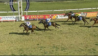 Captain’s Legend Finishes As The Runner Up After Race 3 On The Tamworth Card.