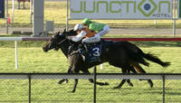 Oakfield Captain Runs A Solid Placing Under Cejay Graham At Newcastle.
