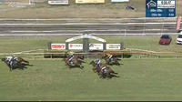 Camellia Legend Runs a placing at Taree under Serg Lisnyy.