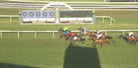 Oakfield Twilight Earns A City Berth After A Recent Trial Win Over Redzel