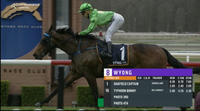 Oakfield Captain Delivers In The Last At Wyong