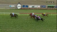Magnalane Steps Up To Class 1 Company To Run Third At Muswellbrook
