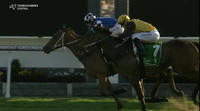 Johnny Roo Boy Just Misses In Return To Form Under Jason Collett
