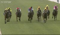 Johnny Roo Boy Just Misses At Hawkesbury